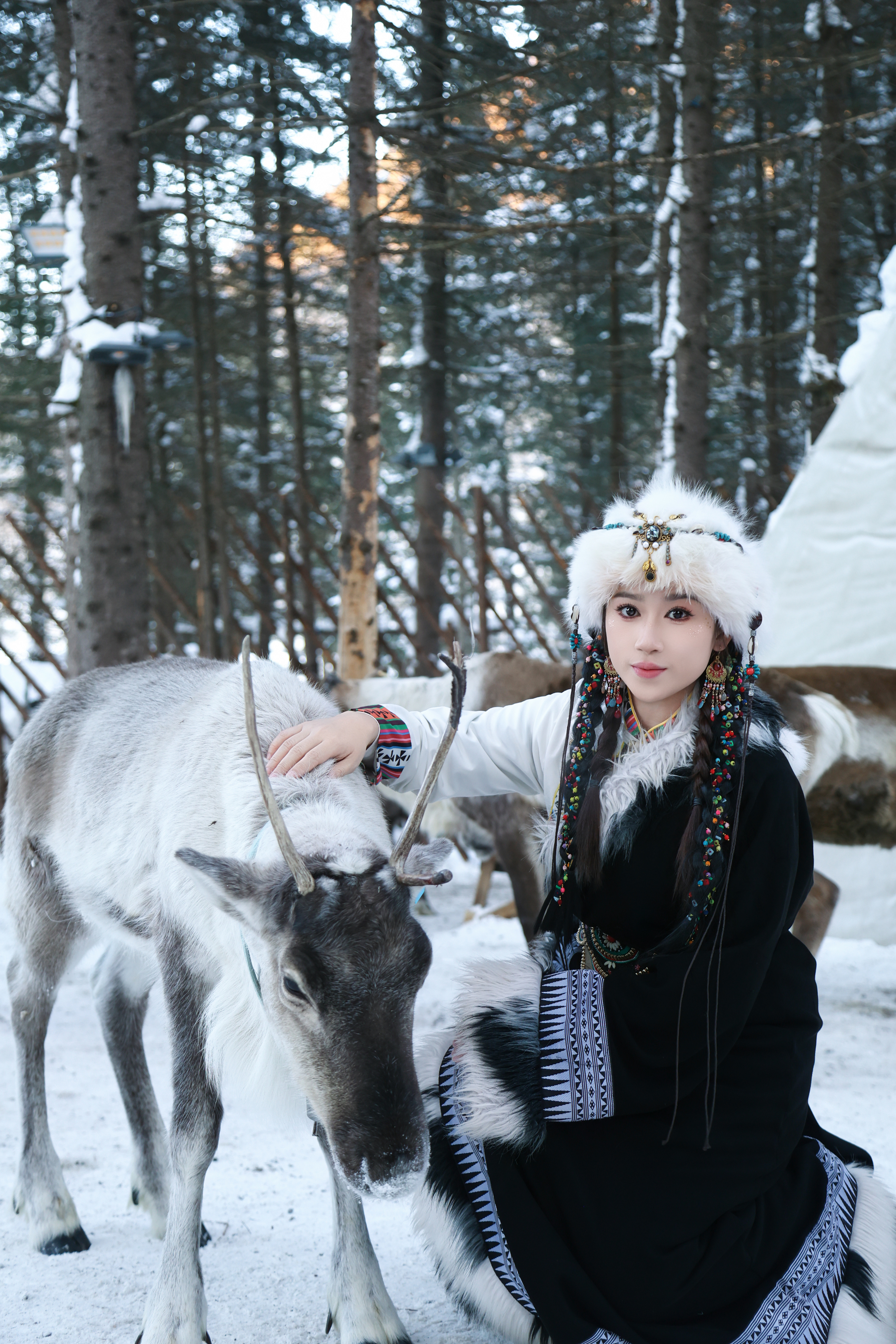 Harbin Winter IL Incentive Trip photo 21